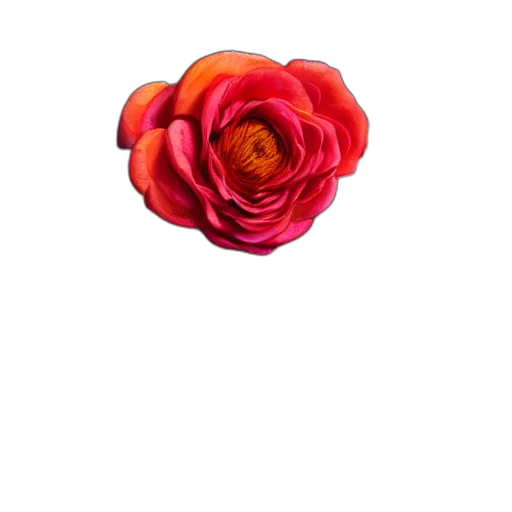 flower, crown, jewelry, hat, 3d render, photorealistic, pixel art, concept art transparent PNG cut-out