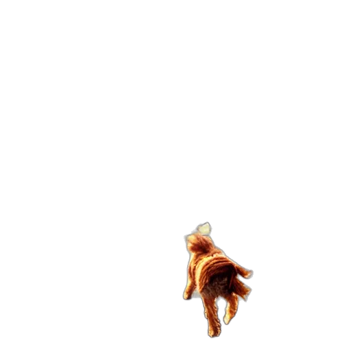 creature, animal, hair, dragon, pixel art, 3d render, concept art, photorealistic transparent PNG cut-out
