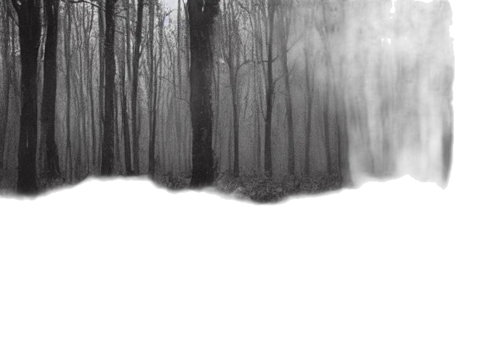 tree, mask, creature, dress transparent PNG cut-out
