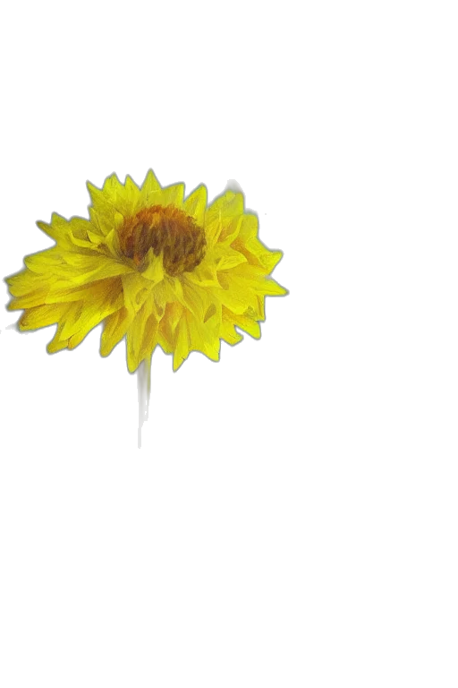 flower, staff, crown, umbrella, 3d render, photorealistic, concept art, oil painting transparent PNG cut-out