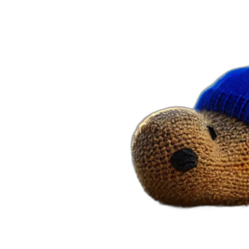 hat, shoes, animal, hair transparent PNG cut-out