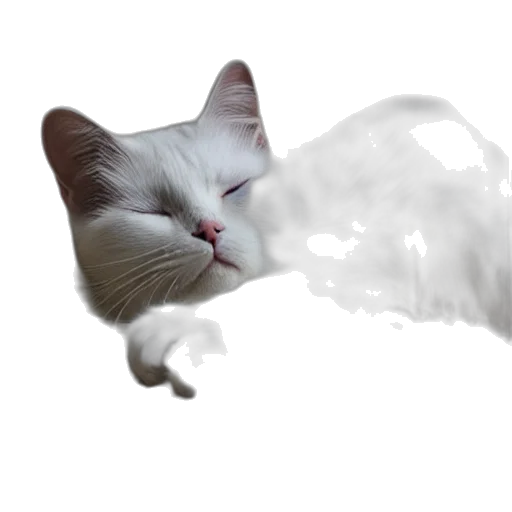 animal, creature, dragon, face transparent PNG cut-out