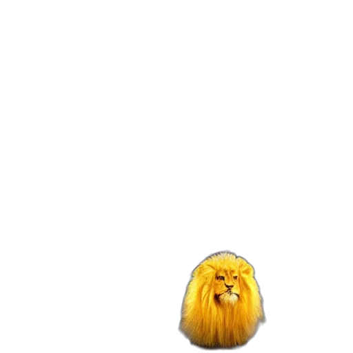 hair, animal, creature, crown transparent PNG cut-out