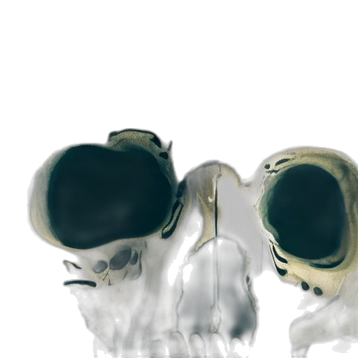 mask, crown, shoes, face transparent PNG cut-out