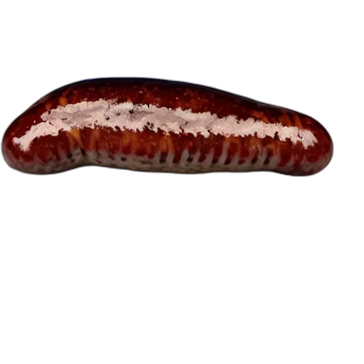 animal, creature, food, hair transparent PNG cut-out
