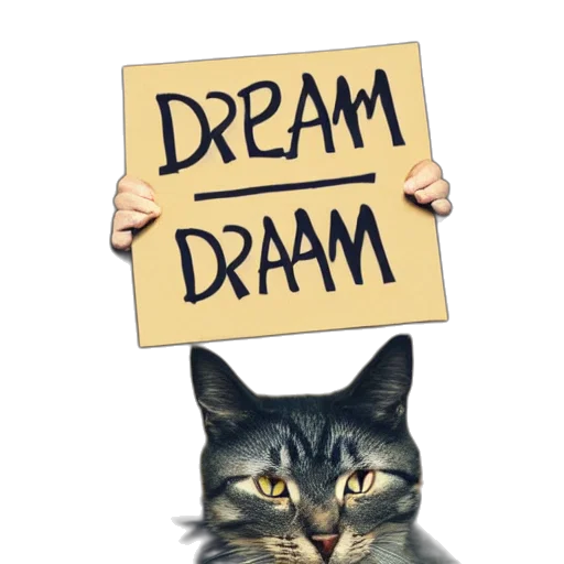 staff, animal, photorealistic, concept art, cat, holding, sign, text transparent PNG cut-out
