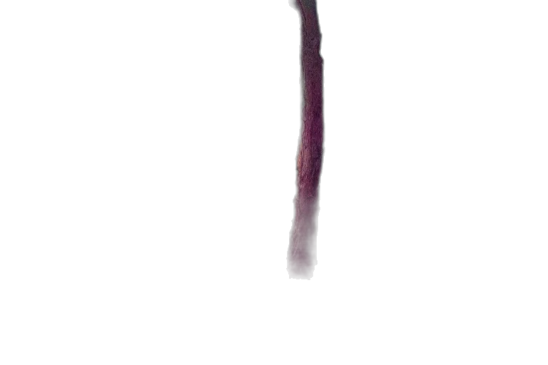 staff, hair, sword, weapon, 3d render, photorealistic, watercolor, concept art transparent PNG cut-out