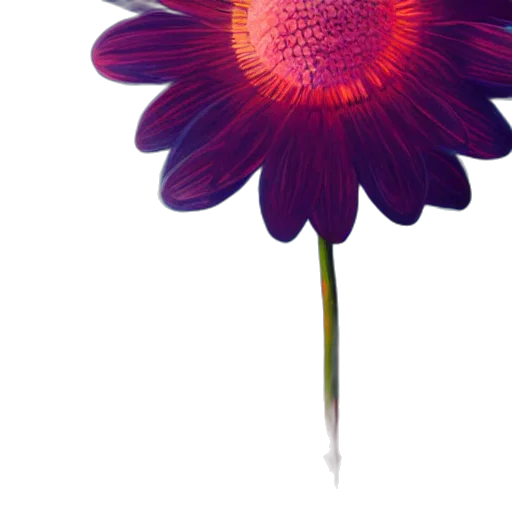 flower, crown, umbrella, staff transparent PNG cut-out