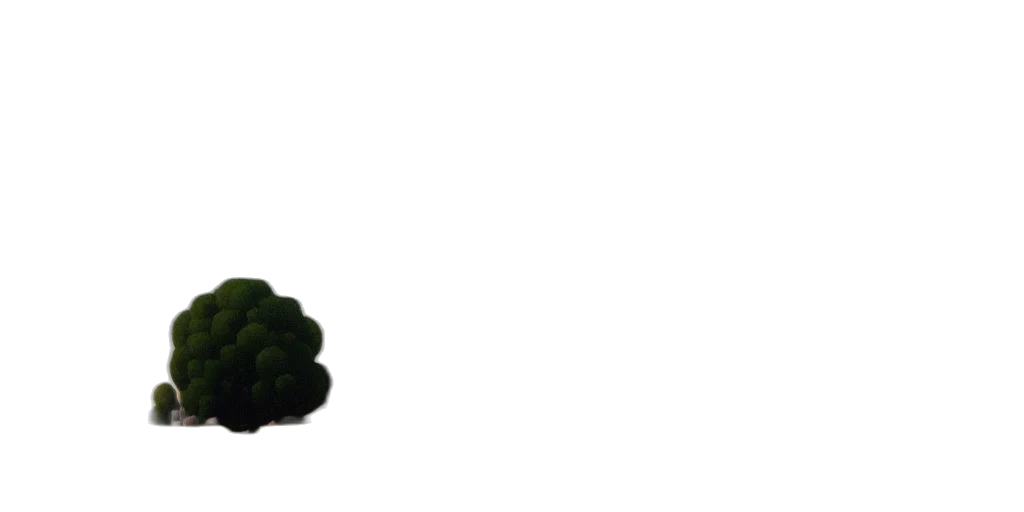 tree, crown, food, weapon transparent PNG cut-out