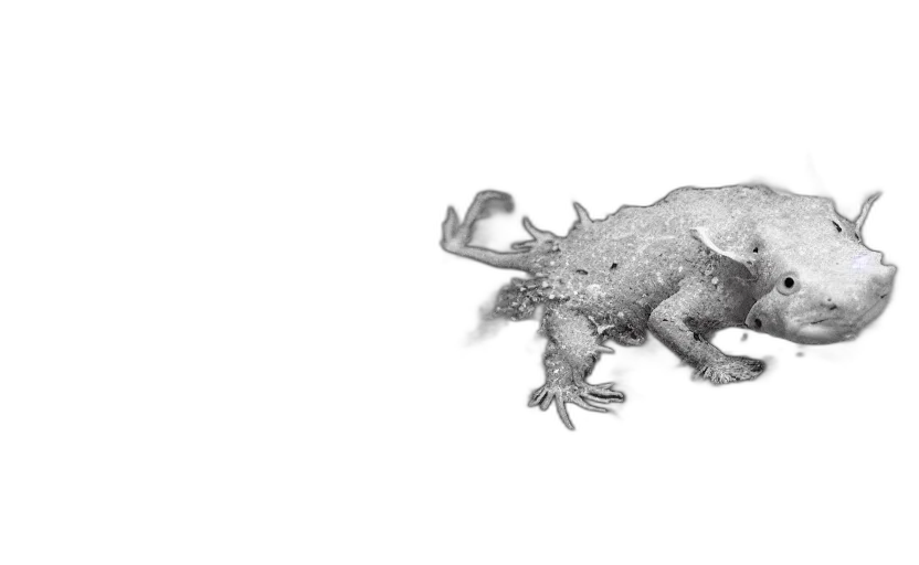 dragon, creature, animal, crown, 3d render, photorealistic, pencil sketch, concept art transparent PNG cut-out