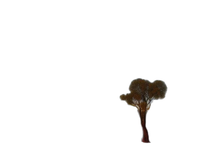tree, crown, staff, hair transparent PNG cut-out