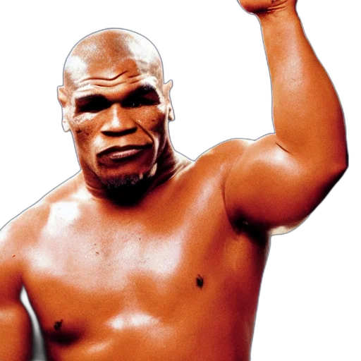 face, animal, bigfoot, boxing transparent PNG cut-out