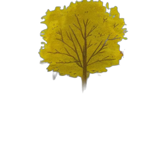 tree, crown, staff, umbrella transparent PNG cut-out