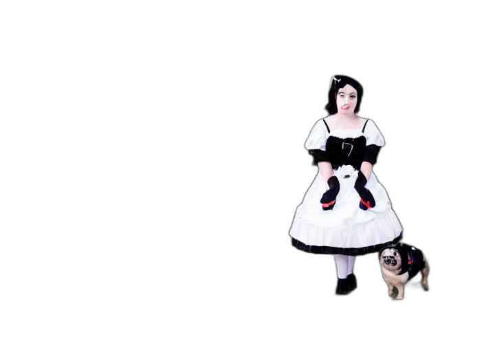 dress, animal, robot, staff transparent PNG cut-out