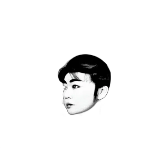 face, hair, crown, photorealistic transparent PNG cut-out