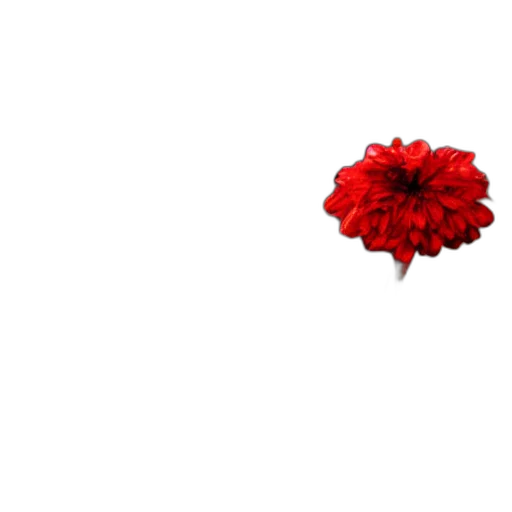 flower, crown, jewelry, weapon, pixel art, 3d render, photorealistic, concept art transparent PNG cut-out