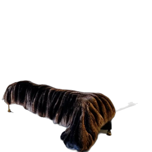 hair, animal, furniture, staff transparent PNG cut-out