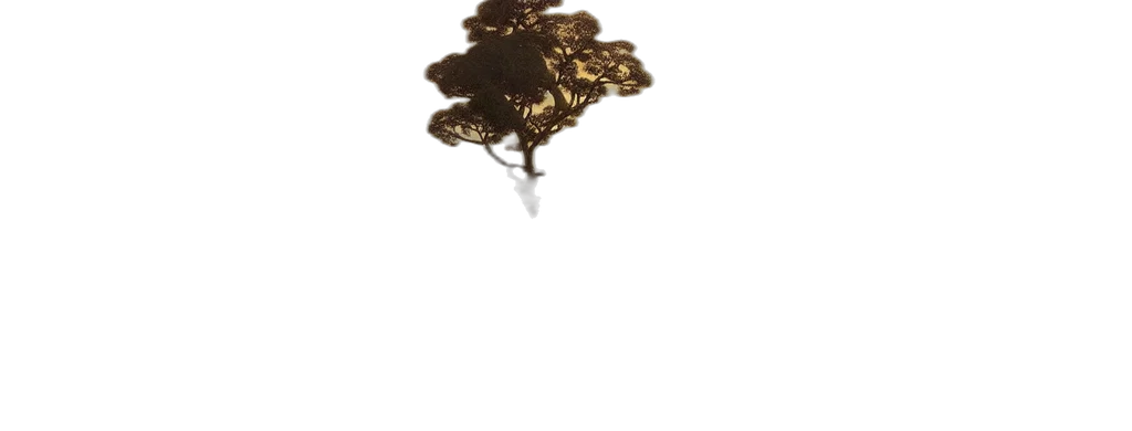 crown, jewelry, hair, tree transparent PNG cut-out