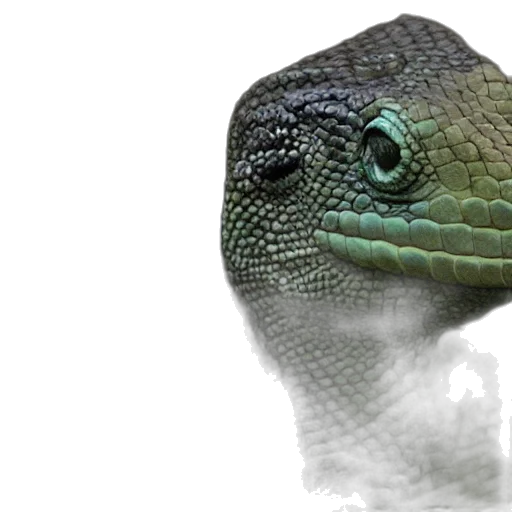 dragon, animal, creature, mask, photorealistic, 3d render, concept art, mark transparent PNG cut-out