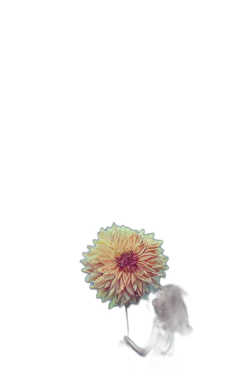 flower, umbrella, creature, hair transparent PNG cut-out