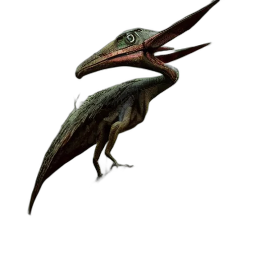 dragon, creature, animal, staff transparent PNG cut-out