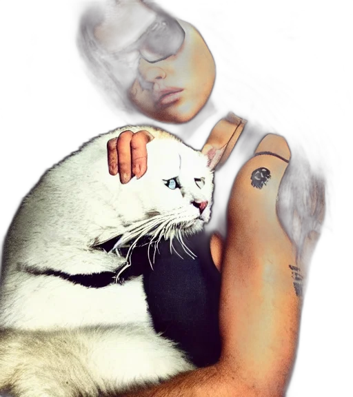animal, photorealistic, cartoon, vaporwave, badass, photo, tough, looking transparent PNG cut-out