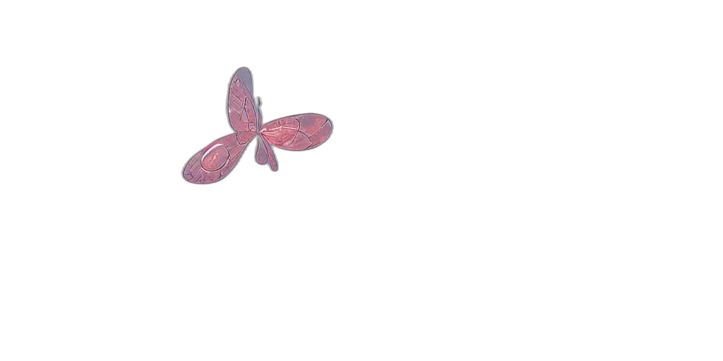 flower, umbrella, jewelry, animal transparent PNG cut-out