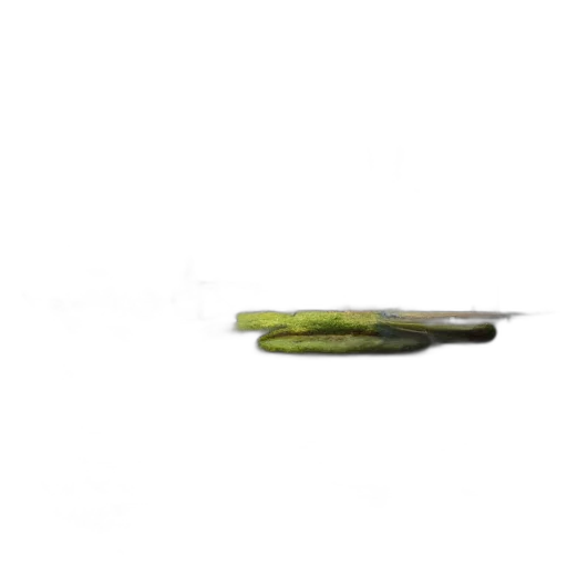 weapon, food, staff, sword, photorealistic, 3d render, green, poket transparent PNG cut-out