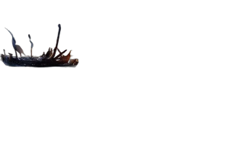 shoes, crown, dragon, furniture transparent PNG cut-out