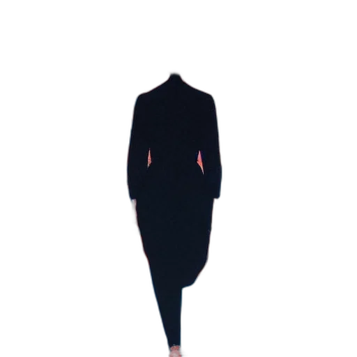 dress, jacket, staff, creature transparent PNG cut-out
