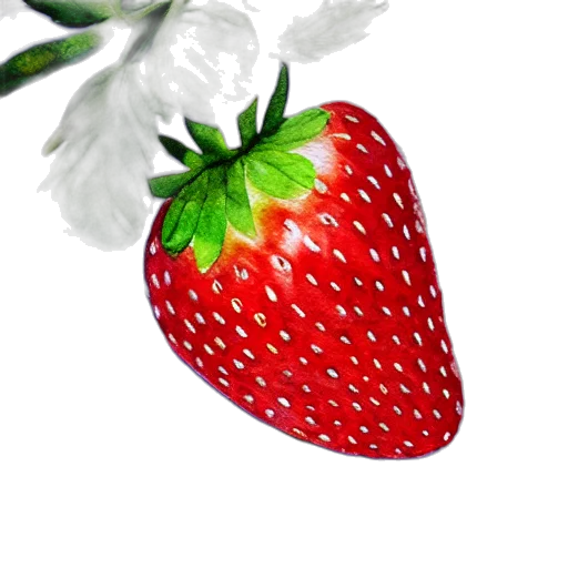 food, flower, crown, hat transparent PNG cut-out