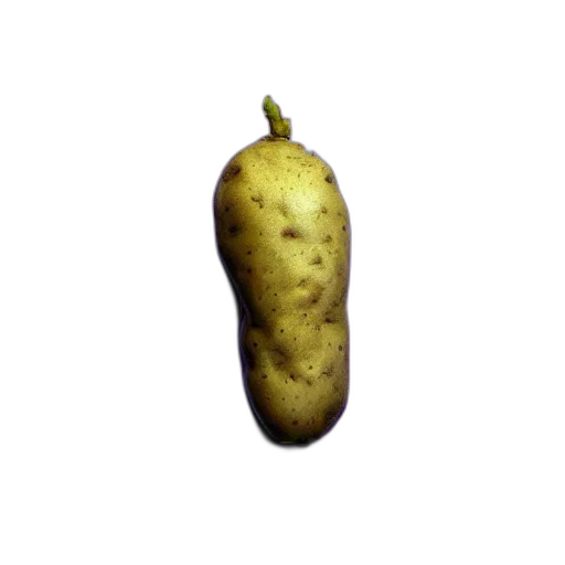 food, staff, face, animal, photorealistic, 3d render, concept art, oil painting transparent PNG cut-out