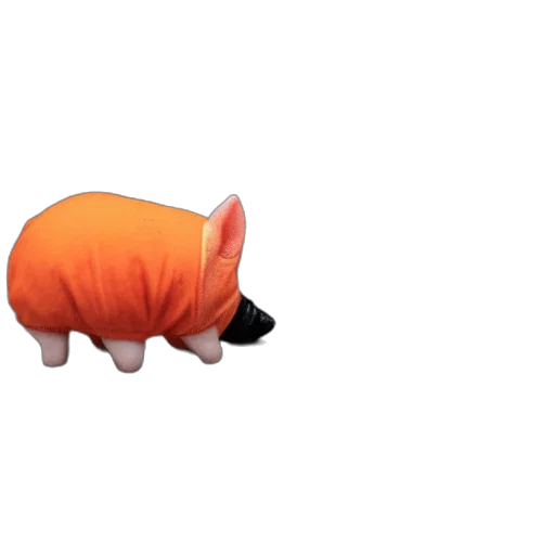 animal, creature, food, hat transparent PNG cut-out