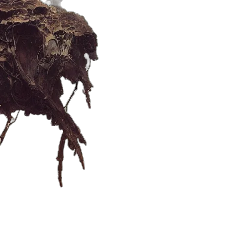hair, crown, mask, creature, concept art, 3d render, photorealistic, dark transparent PNG cut-out