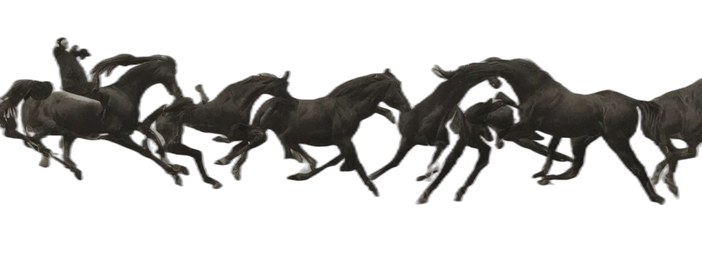 animal, dragon, creature, furniture transparent PNG cut-out