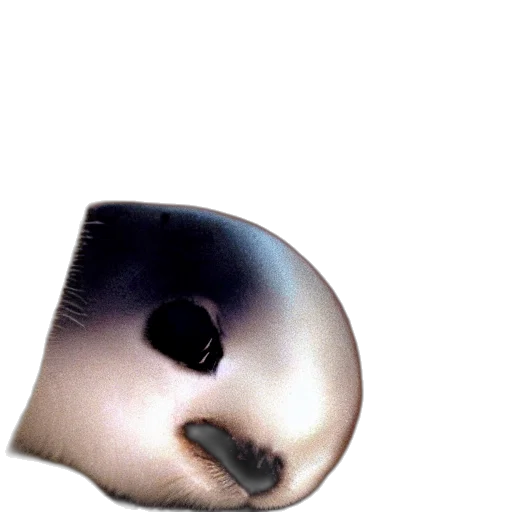 mask, face, creature, animal, photorealistic, 3d render, concept art, vaporwave transparent PNG cut-out