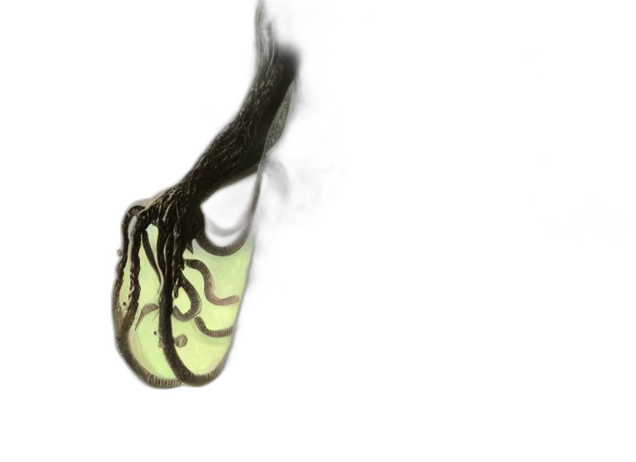 hair, shoes, mask, creature transparent PNG cut-out