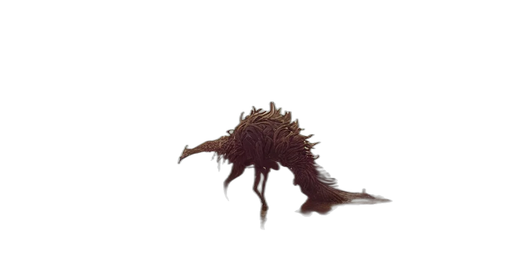 dragon, creature, animal, hair transparent PNG cut-out