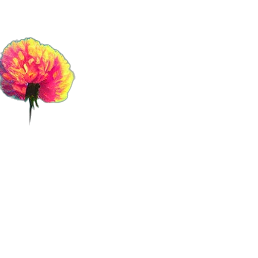 umbrella, flower, hat, crown transparent PNG cut-out