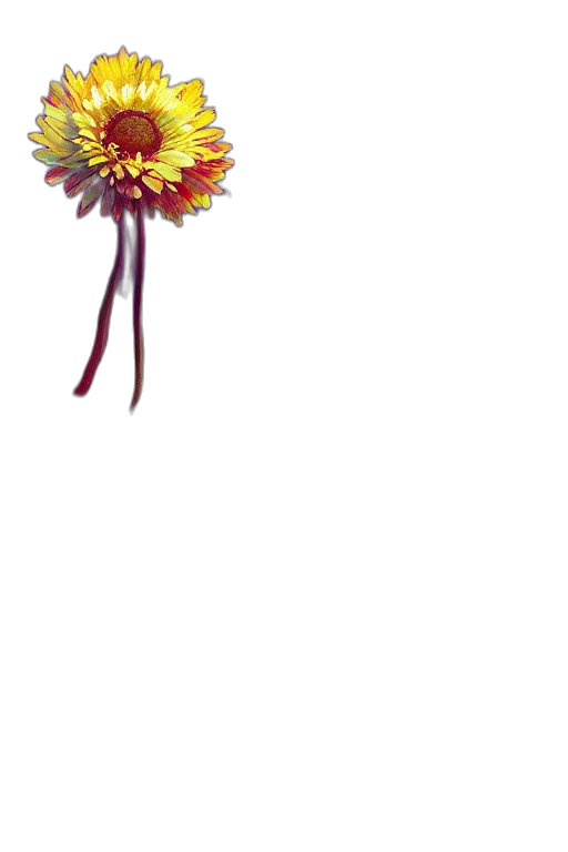 flower, crown, staff, jewelry, pixel art, 3d render, photorealistic, watercolor transparent PNG cut-out