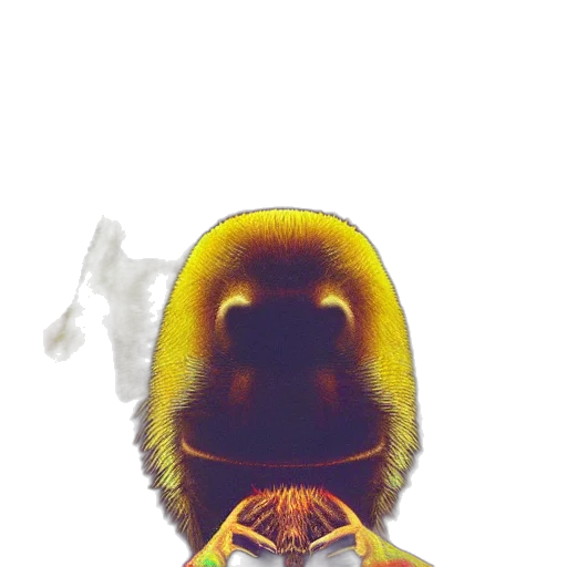animal, mask, face, creature, photorealistic, 3d render, concept art, pixel art transparent PNG cut-out