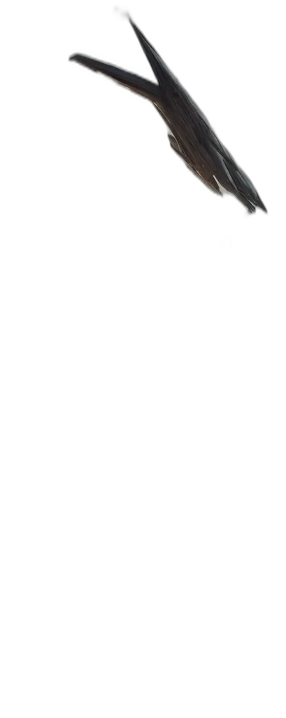 monochrome, wide, shot, tall, thin, monolithic, spaceship, hovering transparent PNG cut-out