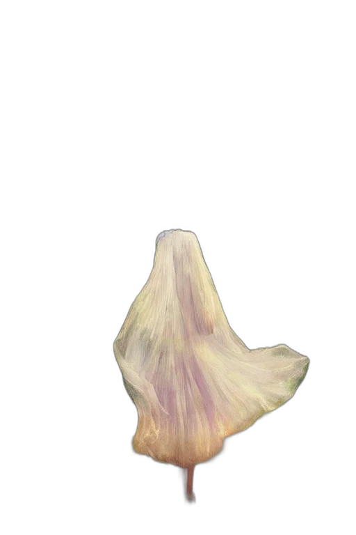 flower, hair, crown, mask, 3d render, watercolor, photorealistic, concept art transparent PNG cut-out