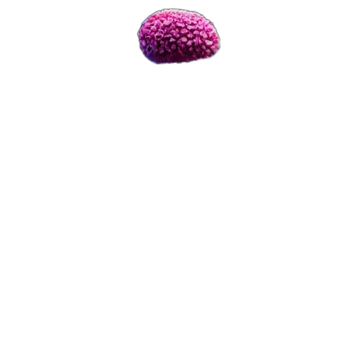 food, hat, jewelry, animal, 3d render, pixel art, photorealistic, vaporwave transparent PNG cut-out