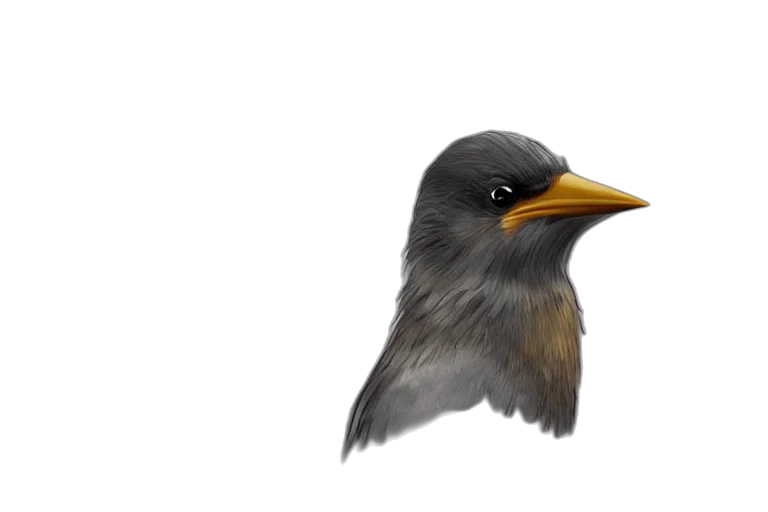 animal, photorealistic, 3d render, watercolor, concept art, bird, cop, hat transparent PNG cut-out
