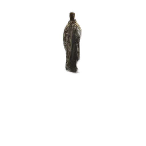 jacket, staff, dress, umbrella transparent PNG cut-out