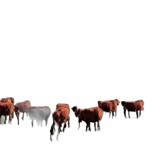 animal, furniture, food, creature, concept art, 3d render, pixel art, photorealistic transparent PNG cut-out