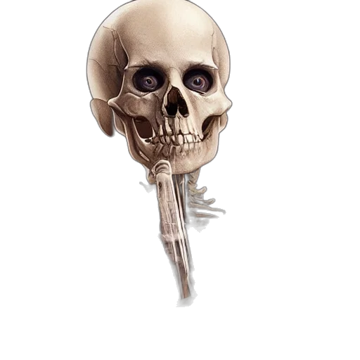 staff, jewelry, weapon, face, concept art, photorealistic, 3d render, fantasy art transparent PNG cut-out