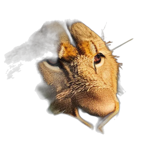 dragon, mask, animal, creature, photorealistic, fantasy art, concept art, 3d render transparent PNG cut-out
