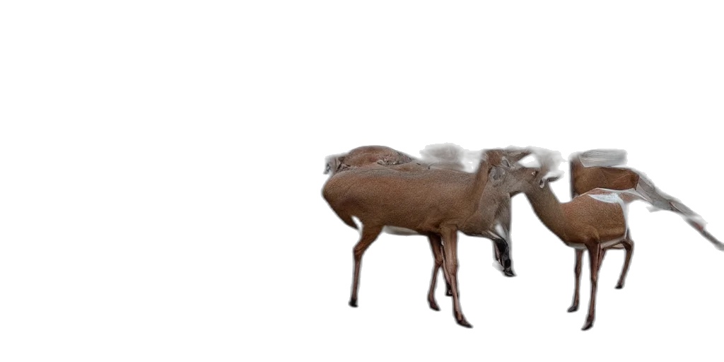 animal, creature, furniture, hat transparent PNG cut-out